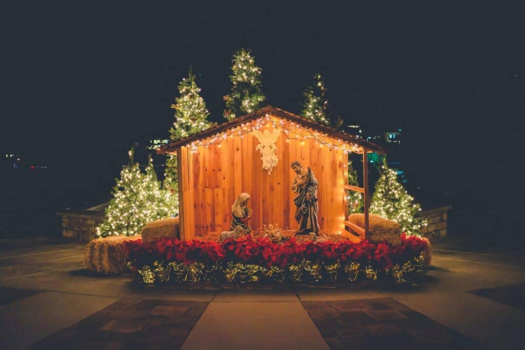 Large manger scene with christmas trees, lights and pointsetias